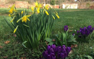 Gardeners Blog 5th March 2021